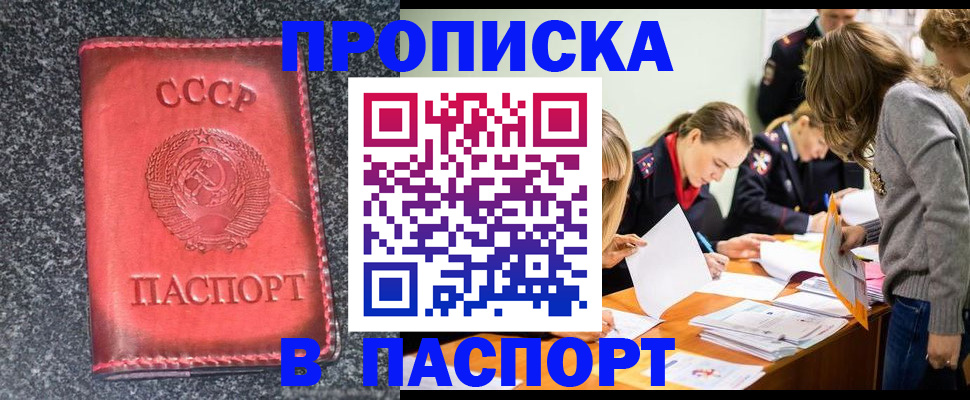 прописка для школы в Ногинске